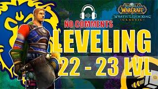 WOTLK Classic Leveling Alliance Guide Paladin 22-23 One hour preparation WoW 4KASMR