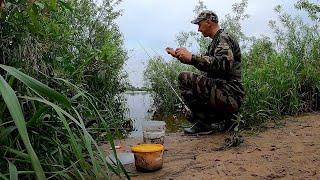 Рыбалка на ФИДЕР ИЮНЬ Река Неман