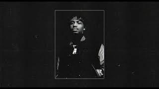 FREE FOR PROFIT Metro Boomin Dark Trap - Playoff