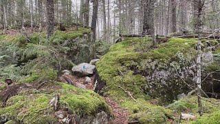 100 Mile Wilderness guide offers hiking ideas to explore one of Maines most remote regions