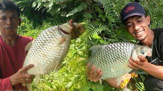 SURGANYA PEMANCING IKAN TAWES MONSTER  PEMANCING INI PAKAI UMPAN SAWIT DADU