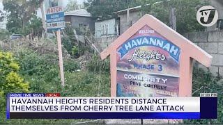 Havannah Heights Residents Distance themselves from Cherry Tree Lane Attack  TVJ News