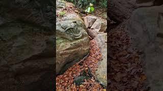 The River of 1000 Lingas  Kbal Spean #angkorwat