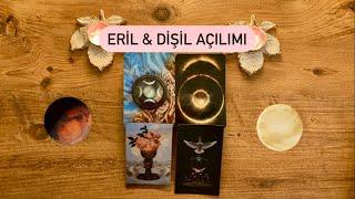 Eril & Dişil Açılımı 