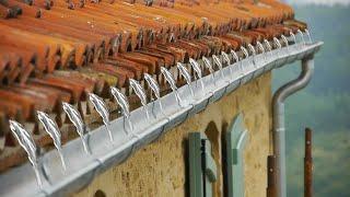 Farmhouse Restoration    Gutters