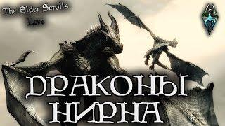 Известные драконы Нирна  TES Лор AshKing