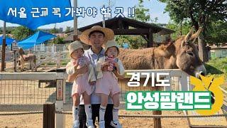 안성팜랜드 36개월미만 쌍둥이 아기랑 가볼만 한 곳