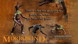 How to Make a Good Character in Morrowind  20th Anniversary Edition