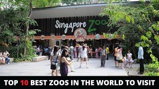 Top 10 Best Zoos in the World to Visit - Most Amazing Zoos Of All Time 2022