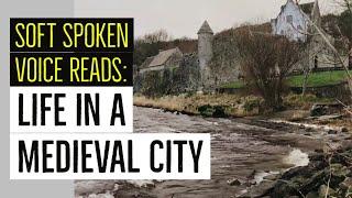 Life In A Medieval City  Unintentional ASMR Audiobook read by Peter Yearsley