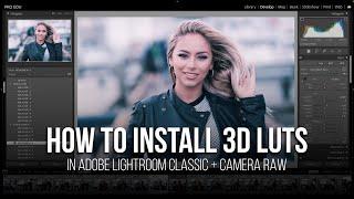 How Do I Apply 3D LUTs in Adobe Lightroom and Photoshop?