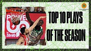 Panathinaikos BC ● Top 10 Plays ● 202324 4K