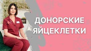 Донорские яйцеклетки - когда и кому нужны?