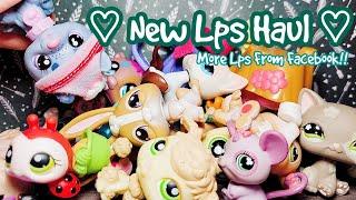 New Lps Haul #2 More Childhood Pets & Dreamies  DieselkoiLps