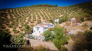 SOLD - Stunning Cortijo with guest house for sale in Granada Andalusia Southern Spain