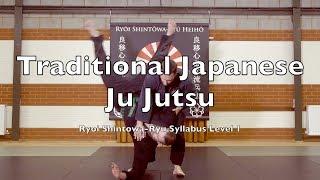 54 JuJutsu Techniques  Self Defence Syllabus  Traditional Japanese Ju Jutsu Ryu