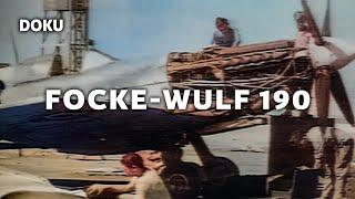 Focke Wulf FW190 Deutsche Kampfflieger Wehrmacht Geschichte Dokumentation