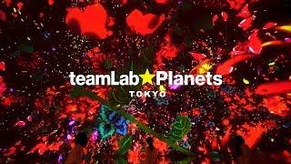 teamLab Planets TOKYO  チームラボ プラネッツ TOKYO DMM.com