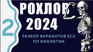 ЕГЭ 2024 биология. Вариант 2 Сборник Рохлова. Разбор.