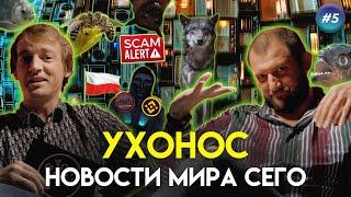 Новости про волков в аэропорту смертельные селфи и токен Squid   УхоНос #5