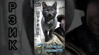 МС МУРЗИК - МЕНЯ ЗАБРАЛ ВОЕНКОМАТ Кошачья версия