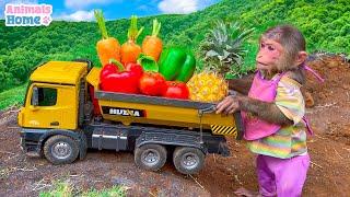 Farmer BiBi harvest pineapples and carrots to cook breakfast