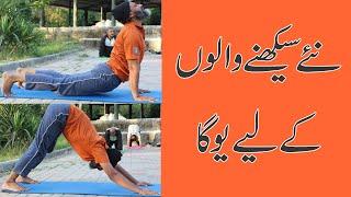 YOGA FOR BEGINNERS