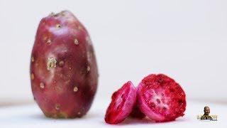 How to Eat Cactus Fruit Prickly Pear  Taste Test