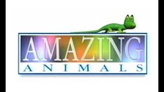 Amazing Animals with Henry Only
