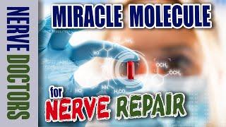 Miracle Molecule for Nerve Repair - The Nerve Doctors