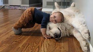 When we become best friends - Cute Moments Dog and Human