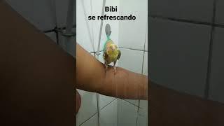 Bibi tomando banho