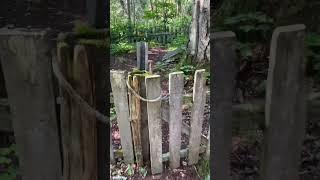 The Mowat Graveyard on Canoe Lake