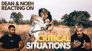 Critical situations with Lions - Dean Schneider