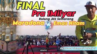 Final Seru.. Adu lossDorr Maradona vs Emas Hitam Pra2 1Milyar Jkk Semarang