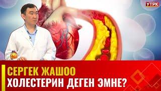 Холестерин деген эмне?  Сергек жашоо