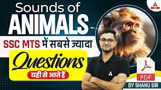 Sounds of Animals  SSC MTS English Most Important Questions  By Shanu Rawat