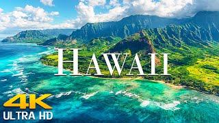 Hawaii 4K Ultra HD - Scenic Wildlife Film With Calming Music  Scenic Film Nature