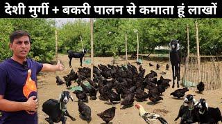 ऐसा अनोखा Desi Poultry Farming + Goat Farming मॉडल देखकर मन खुश हो जाएगा  Goat Farm  Poultry Farm