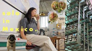 Solo in MEXICO CITY Vlog PT. 3   movie night touring a chinampa and a must-visit library