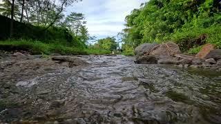 relaxing sound of flowing water calming river sound in the morning