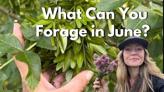 Wild Food to Forage in Early June  Late Spring Foraging UK