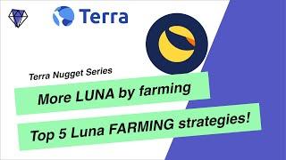 Terra My Top 5 Farming strategies for Luna - Up to 80% APY