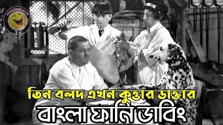 Three Stooges Dog Doctor  Bangla Funny Dubbing  Bangla Funny Video  Khamoka tv