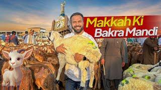 Bakra Mandi in MAKKAH   HAJJ 2024 Eid al Adha in Makkah Saudi Arabia