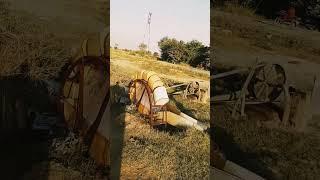 Traditional Way Of Agriculture With Bull Old Culture In Punjab Pakistan