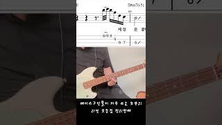 베이스 고인물이 자주쓰는 표현들 배우기