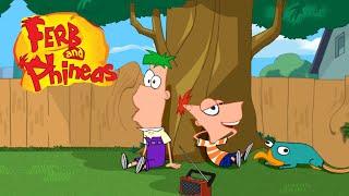 YTP Collab Ferb and Phineas