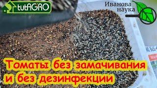 ПОСЕВ ТОМАТА НА РАССАДУ без замочек и заморочек. СЕЙТЕ ТОМАТЫ ТОЛЬКО ТАК - РАССАДА ОЧЕНЬ КРЕПКАЯ.