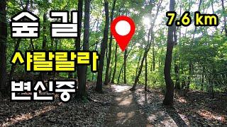 예술 숲길 _ 서울둘레길 10코스 우면산 구간 _ 우면산 무장애숲길 _ Seoul Trail 10 course  Korea  무장애숲길 _ 예술의전당 국립국악원 숲길